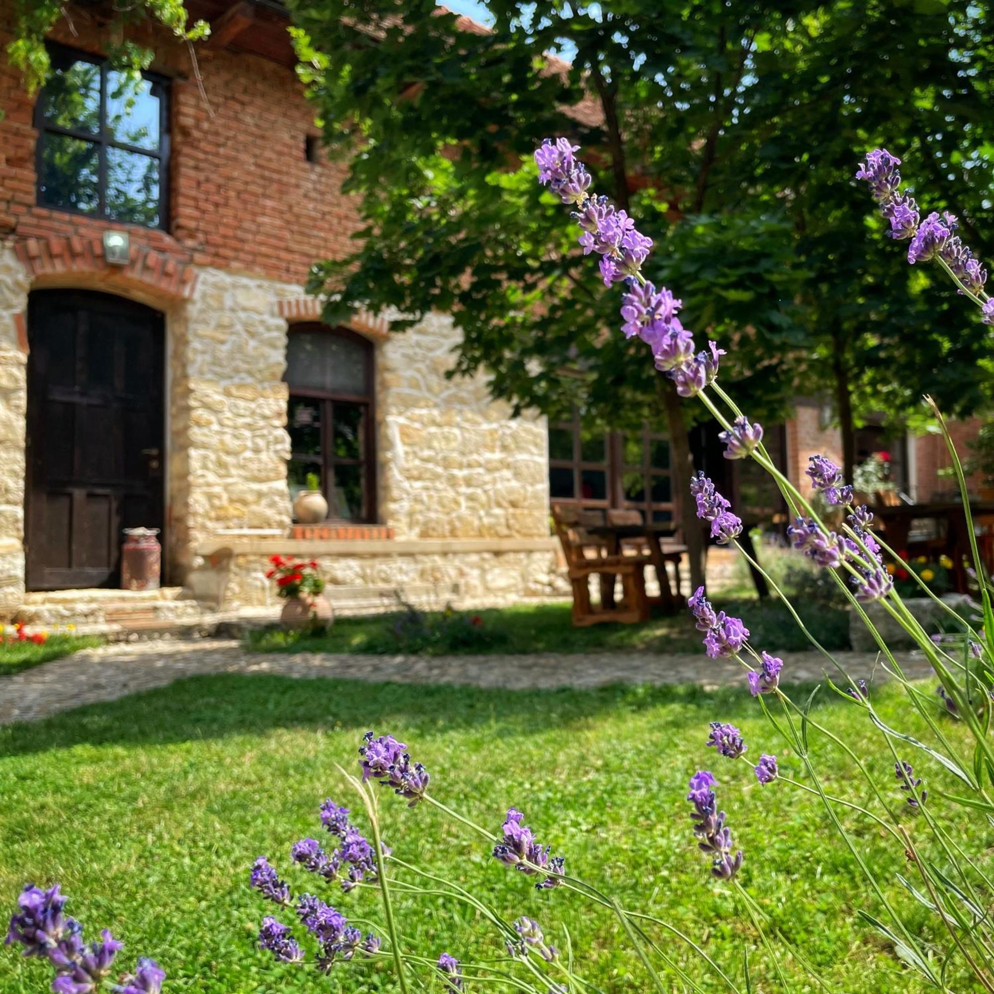 Hotel Casa Thea Cheile Nerei Sokolar Exterior foto